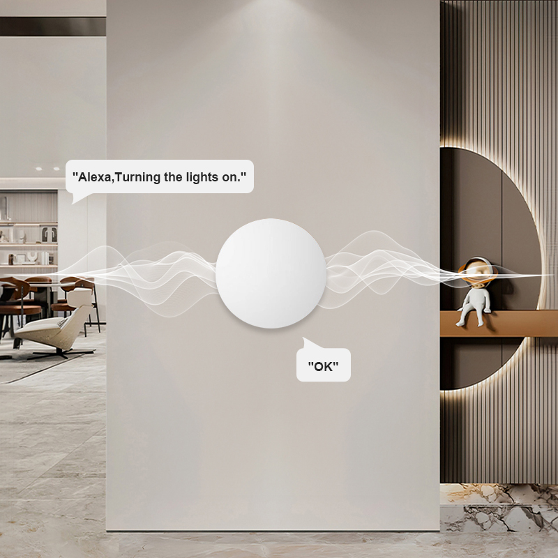 Tuya Smart Life용 ZigBee 스마트 무선 - Smart Home Features 리뷰 및 가격