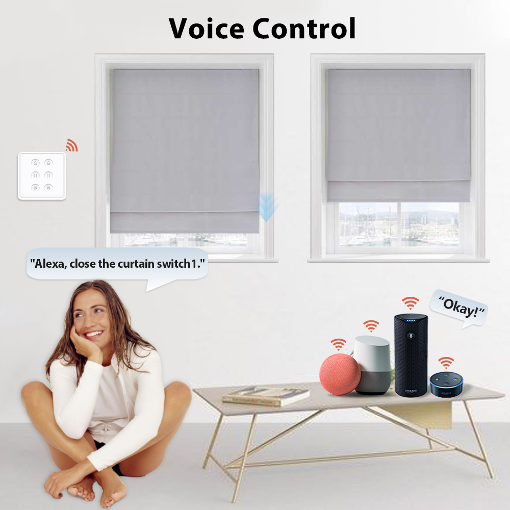 LoraTap Tuya 스마트 라이프 ZigBee 이중 - Smart Home Blinds 리뷰 및 가격