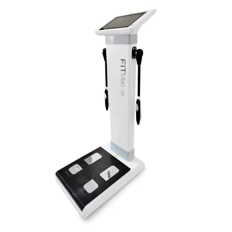 가정용 체중계 체지방률 측정기 전신 체성분 분석 스마트 - Smart Home Uses 리뷰 및 가격