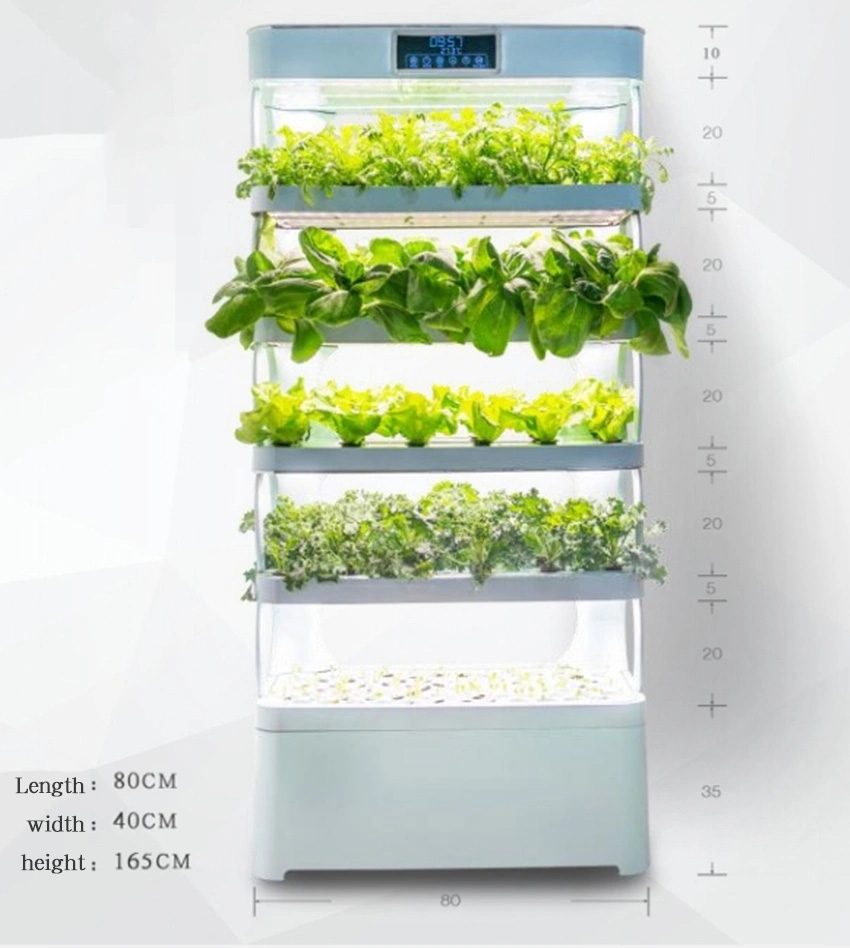 가정용 수경재배 시스템 신제품 실내 스마트 가든 수경재 - Smart Home Uses 리뷰 및 가격